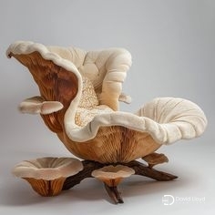 chair test 2
